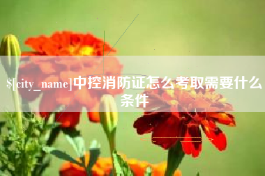 舞钢中控消防证怎么考取需要什么条件