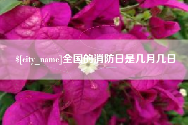 舞钢全国的消防日是几月几日