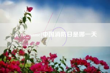 舞钢中国消防日是哪一天