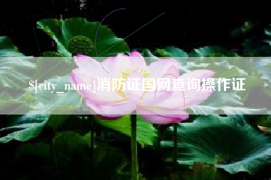 舞钢消防证国网查询操作证