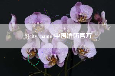 舞钢中国消防官方