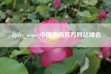 舞钢中国消防官方网站域名