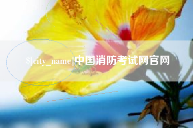 舞钢中国消防考试网官网