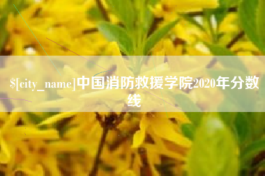 舞钢中国消防救援学院2020年分数线