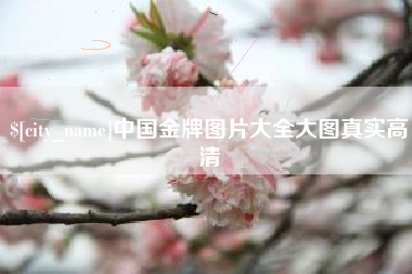 舞钢中国金牌图片大全大图真实高清