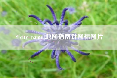 舞钢地图指南针图标图片