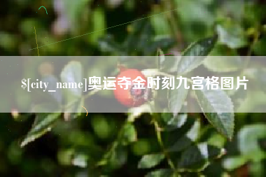 舞钢奥运夺金时刻九宫格图片