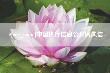 舞钢中国执行信息公开网失信