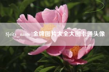 舞钢金牌图片大全大图卡通头像