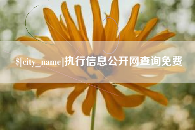 舞钢执行信息公开网查询免费
