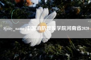 舞钢中国消防救援学院河南省2020